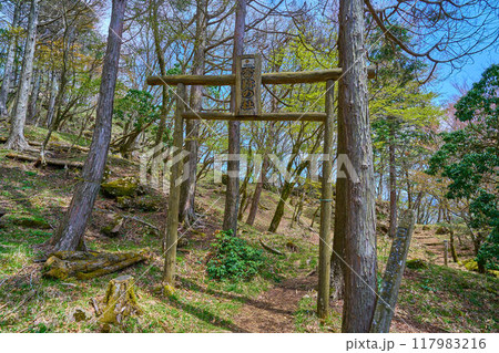 神奈川県秦野市の二ノ塔から菩提峠に下る途中の日本武尊奮跡の杜の鳥居 神奈川県秦野市の二ノ塔から菩提峠に下る途中の日本武尊奮跡の杜の鳥居 117983216