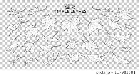 Set of isolated falling maple leaves. Cute Autumn foliage illustration in hand drawn style. Black outline and white plane on transparent background. Set of isolated falling maple leaves. Cute Autumn foliage illustration in hand drawn style. Black outline and white plane on transparent background. 117983591
