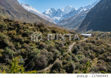 Beautiful view of the nature in Langtang valley, Nepal. Langtang Valley Trek is one of the most awesome trekking experience in Nepal. 117984443