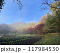 朝霧の降り注ぐ森の畑 117984530