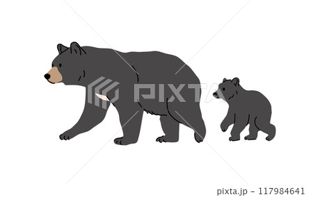 ツキノワグマの親子_背景無 ツキノワグマの親子_背景無 117984641