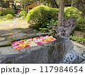 きれいな花に彩られた手水舎 117984654