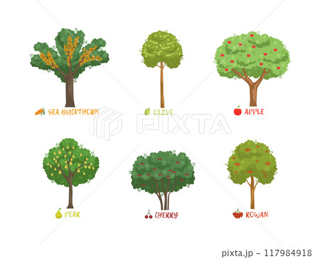 Different Garden Berry Shrubs Sort with Name Inscription Vector Set 117984918
