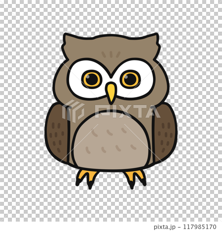 owl   117985170
