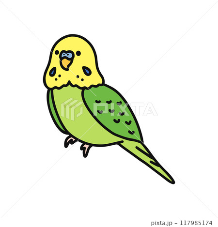 セキセイインコ 117985174