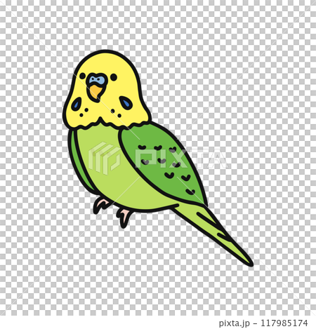 セキセイインコ 117985174