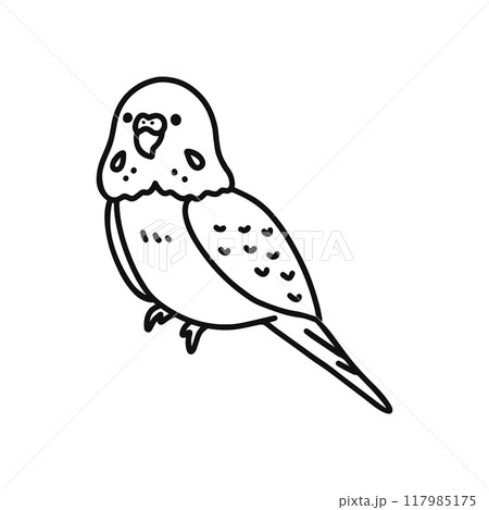 セキセイインコ・線画 117985175