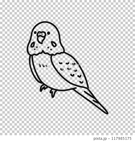 セキセイインコ・線画 117985175