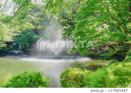 dancing water 117985487