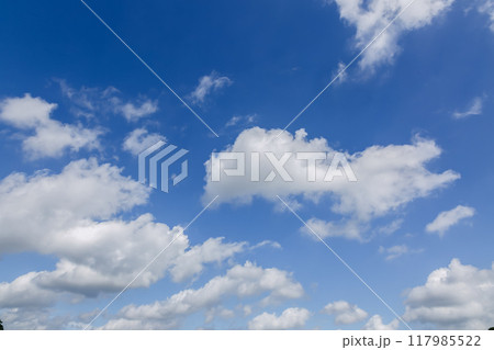 青空の天空に浮く雲の造形【背景素材】 青空の天空に浮く雲の造形【背景素材】 117985522