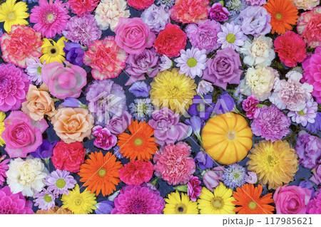 ハロウィン 117985621