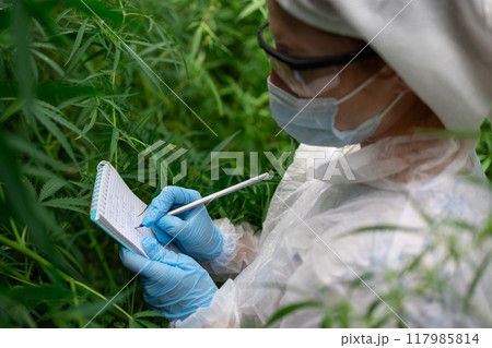 A masked person in gloves writes on a notepad in the grass 117985814