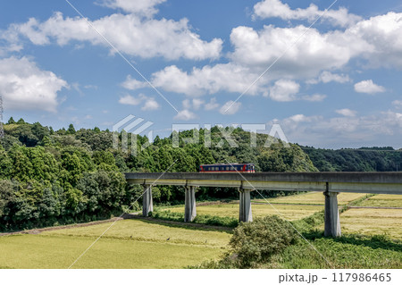 初秋の高架橋を走る大洗鹿島線の機関車【車両八千形】 117986465