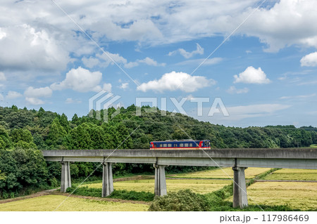 初秋の高架橋を走る大洗鹿島線の機関車【車両八千形】 初秋の高架橋を走る大洗鹿島線の機関車【車両八千形】 117986469