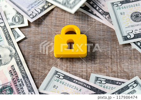 外貨取引イメージ（セキュリティ　アメリカドル） 117986474