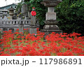 彼岸花とお地蔵さん 117986891