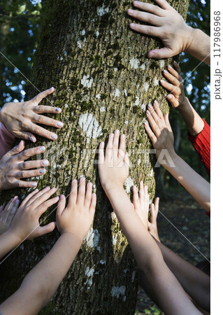 A diverse group of people is touching a tree with their hands gently 117986968
