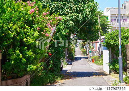 【台湾/台東県】東部海岸沿いの町の風景(成功鎮) 【台湾/台東県】東部海岸沿いの町の風景(成功鎮) 117987365