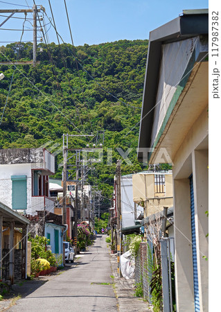 【台湾/台東県太麻里郷】南廻線金崙駅・金崙村の風景 117987382