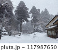 吹雪の中の神社 117987650