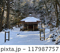 森の中の小さな神社 117987757