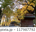 紅葉に彩られた寺院 117987792