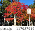きれいな紅葉の比叡山 117987919