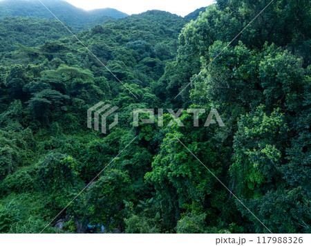 Aerial view of beautiful tropical forest mountain landscape in summer 117988326