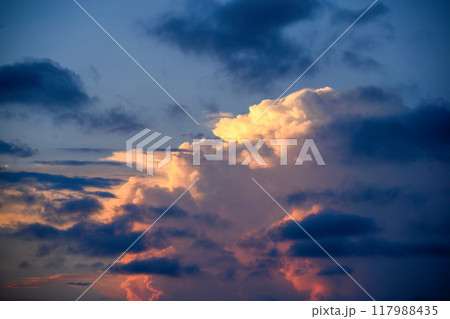 夏空 117988435