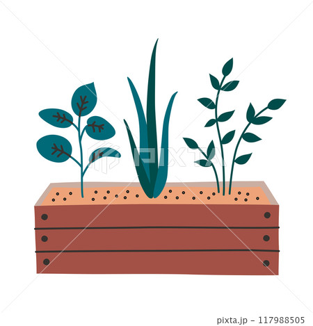 Flat vector illustration of three plants growing in a wooden box filled with soil. Concept of gardening, nature, and sustainable living. Simple cartoon style design for use in garden related designs 117988505