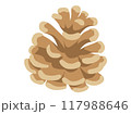 松ぼっくり 117988646