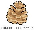 松ぼっくり　黒縁あり 117988647
