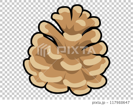 Pine cone with black border 117988647