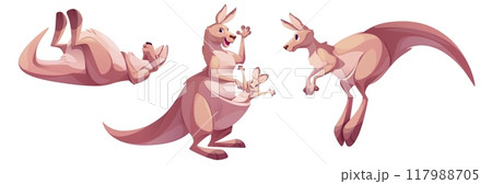 Australia kangaroo character. Funny jump animal 117988705