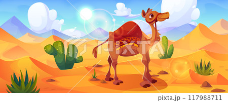 Camel in Arabian or Egyptian desert landscape 117988711