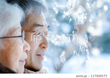 雪降る窓の外を眺める老夫婦 117989575