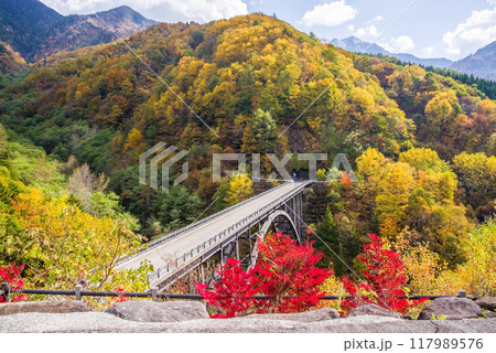 紅葉最盛期の奥飛騨温泉郷《北アルプス大橋》 117989576