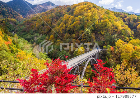 紅葉最盛期の奥飛騨温泉郷《北アルプス大橋》 117989577