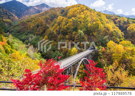 紅葉最盛期の奥飛騨温泉郷《北アルプス大橋》 紅葉最盛期の奥飛騨温泉郷《北アルプス大橋》 117989578