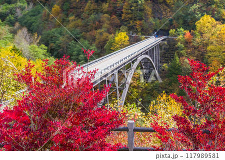 紅葉最盛期の奥飛騨温泉郷《北アルプス大橋》 紅葉最盛期の奥飛騨温泉郷《北アルプス大橋》 117989581
