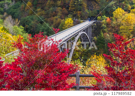 紅葉最盛期の奥飛騨温泉郷《北アルプス大橋》 紅葉最盛期の奥飛騨温泉郷《北アルプス大橋》 117989582