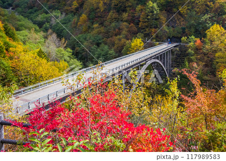 紅葉最盛期の奥飛騨温泉郷《北アルプス大橋》 紅葉最盛期の奥飛騨温泉郷《北アルプス大橋》 117989583