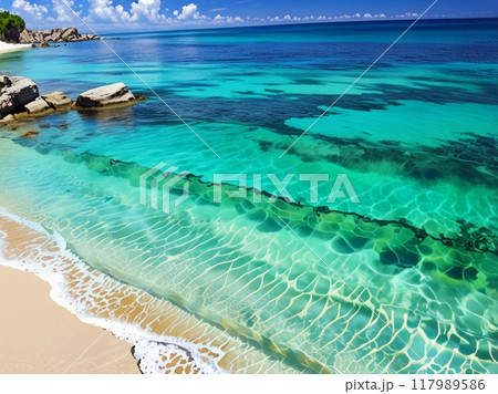 目の前に広がる透明な海 目の前に広がる透明な海 117989586