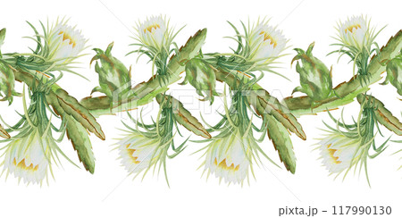 Seamless border with pitahaya,dragonfruit,pitaya. Hand drawn watercolor illustration of pitahaya for fabric design,cover,tropical wallpaper. 117990130