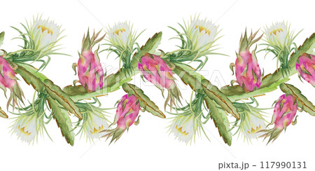 Seamless border with pitahaya,dragonfruit,pitaya. Hand drawn watercolor illustration of pitahaya for fabric design,cover,tropical wallpaper. 117990131