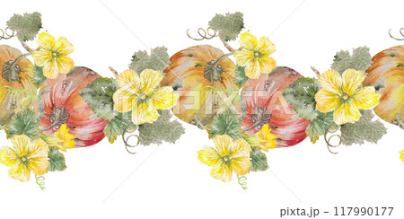 Seamless border with pumpkins and yellow zucchini or squash flowers. Watercolor illustration of flowers and pumpkin. Blooming pumpkins in watercolor. Design elements for print or food design Seamless border with pumpkins and yellow zucchini or squash flowers. Watercolor illustration of flowers and pumpkin. Blooming pumpkins in watercolor. Design elements for print or food design 117990177