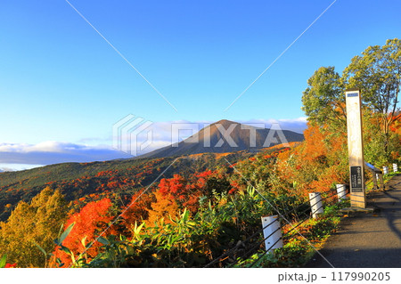 紅葉最盛期の磐梯吾妻スカイライン天狗の庭／福島県 117990205