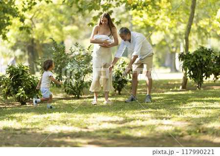 Young family walking in the park on a sunny summer day 117990221