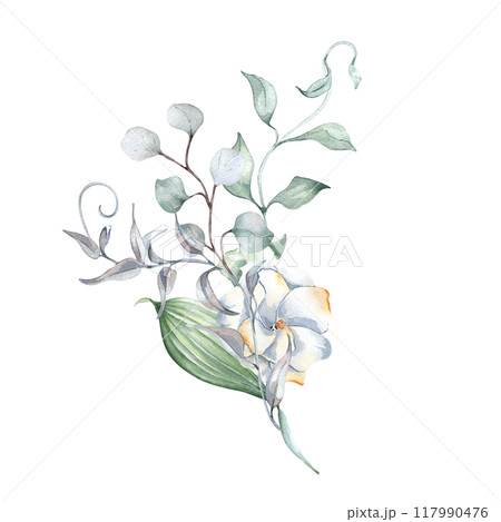 Watercolor arrangement with eucalyptus, gardenia flower and rippled vine of tree in neutral tones isolated. Foliage bouquet with plants in soft sage green tones hand drawn for design nature product. Watercolor arrangement with eucalyptus, gardenia flower and rippled vine of tree in neutral tones isolated. Foliage bouquet with plants in soft sage green tones hand drawn for design nature product. 117990476