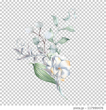 Watercolor arrangement with eucalyptus, gardenia flower and rippled vine of tree in neutral tones isolated. Foliage bouquet with plants in soft sage green tones hand drawn for design nature product. 117990476